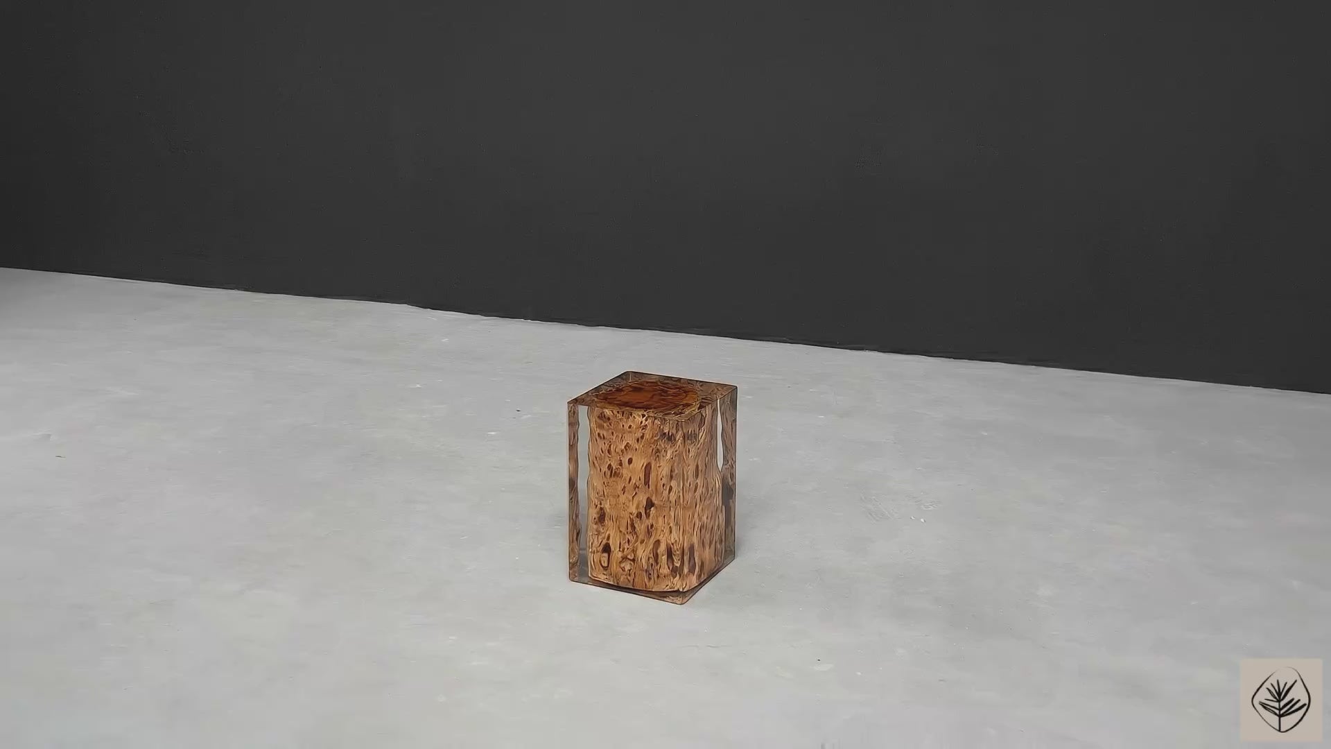 Relic of the Heartwood in camphor burl encased in resin, multifunctional furniture
