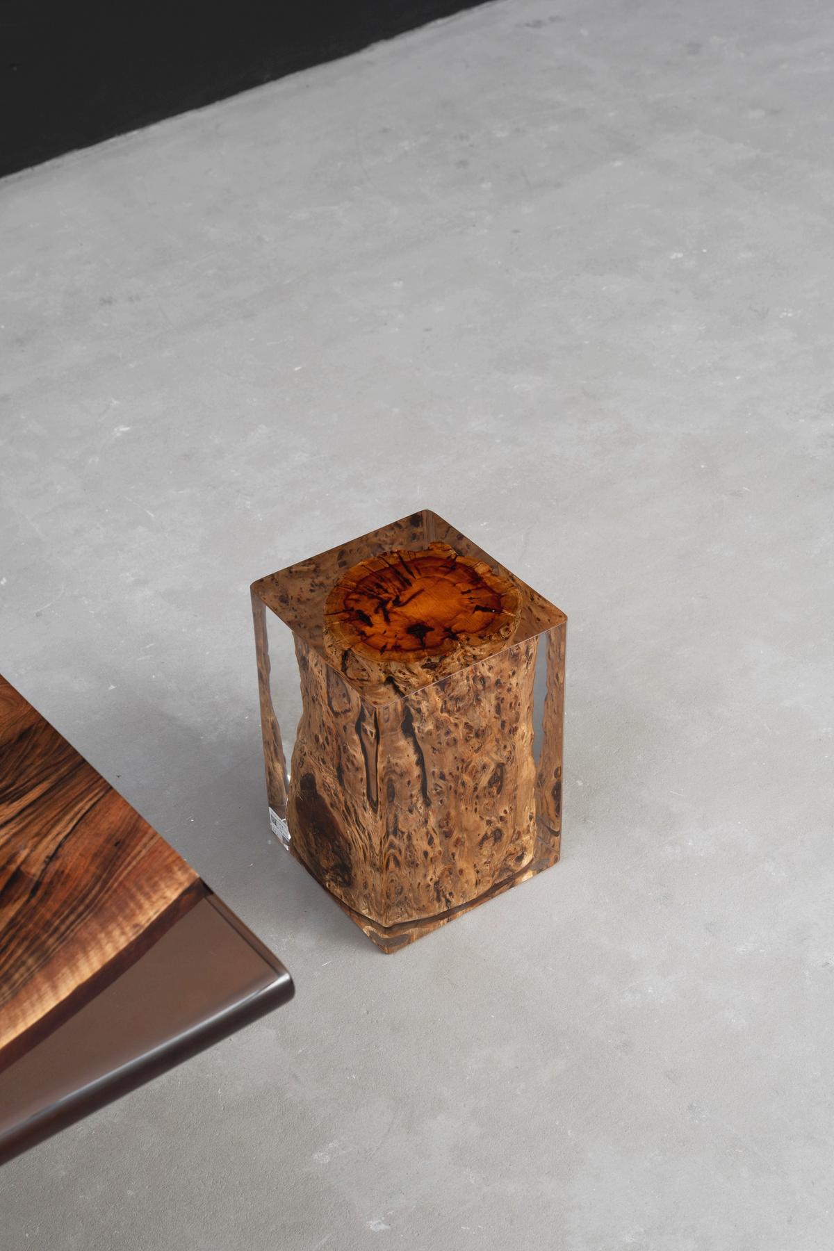 Top-down perspective revealing camphor wood's organic patterns and flowing resin elements.