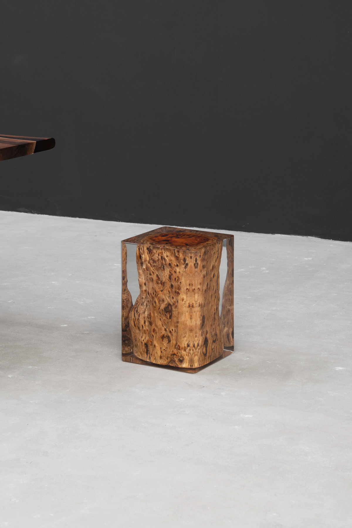 Side view of camphor wood root stool encased in geometric epoxy resin.