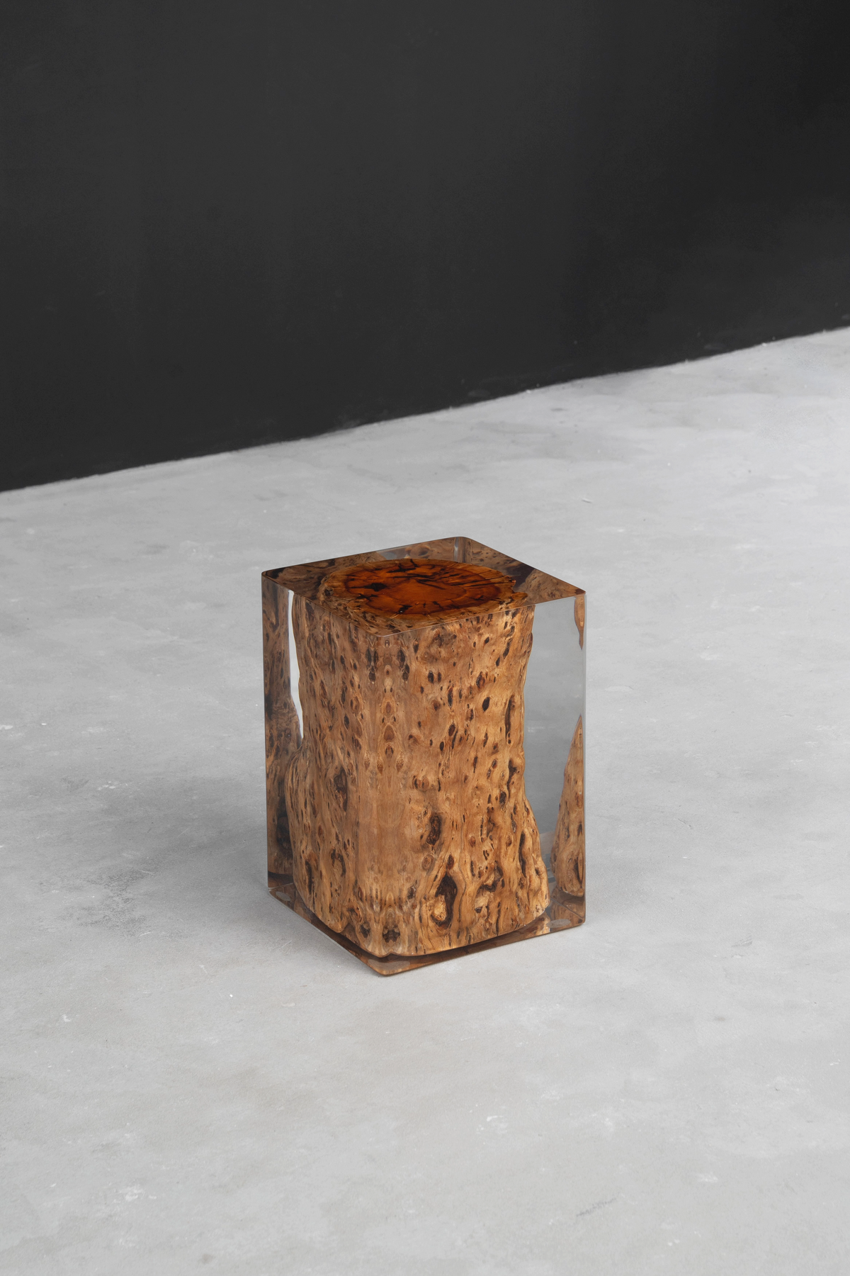 Entire view showcasing precise resin geometry embracing natural wood root formation.