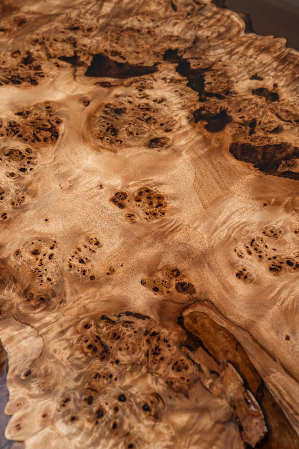 Macro detail showing mappa burl's organic texture within the Synthesis Table's smooth surface.