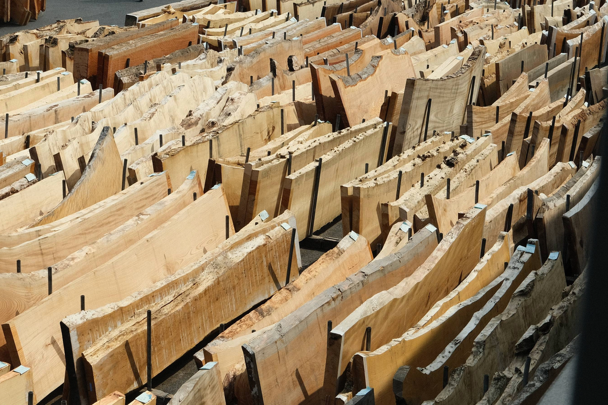 Rows of air-drying live-edge wood slabs arranged in a timber yard, naturally seasoning over time for table production. 